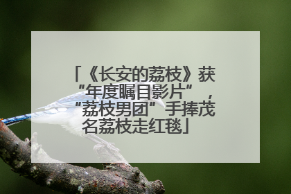 《长安的荔枝》获“年度瞩目影片”，“荔枝男团”手捧茂名荔枝走红毯