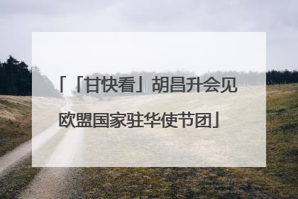 「甘快看」胡昌升会见欧盟国家驻华使节团