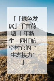 「绿色发展」千亩荷塘 十年新生｜四任航空村官的“生态接力”