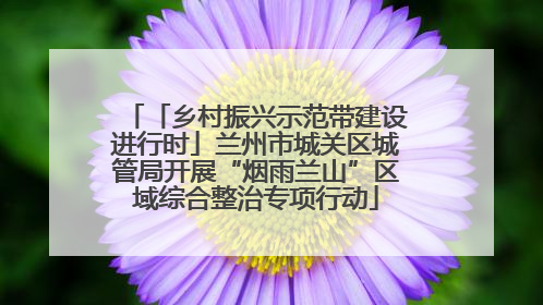 「乡村振兴示范带建设进行时」兰州市城关区城管局开展“烟雨兰山”区域综合整治专项行动