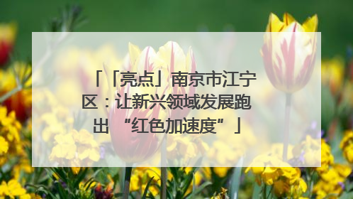 「亮点」南京市江宁区：让新兴领域发展跑出 “红色加速度”