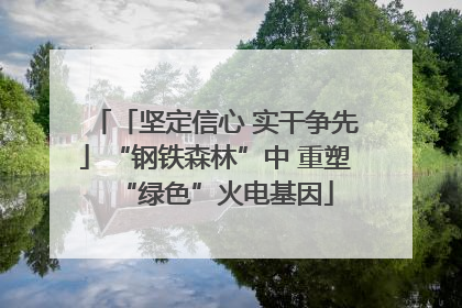 「坚定信心 实干争先」“钢铁森林”中 重塑“绿色”火电基因