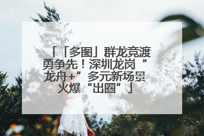 「多图」群龙竞渡勇争先！深圳龙岗“龙舟+”多元新场景火爆“出圈”