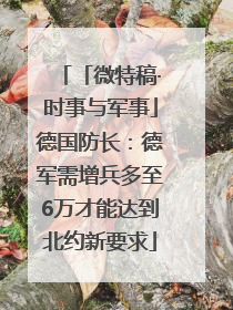 「微特稿·时事与军事」德国防长：德军需增兵多至6万才能达到北约新要求