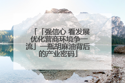 「强信心 看发展 优化营商环境争一流」一瓶胡麻油背后的产业密码