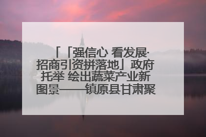 「强信心 看发展·招商引资拼落地」政府托举 绘出蔬菜产业新图景——镇原县甘肃聚广利现代设施蔬菜种植基地见闻