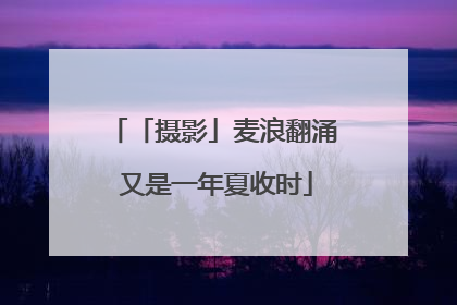 「摄影」麦浪翻涌 又是一年夏收时