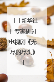 「新华社」专家研讨电视剧《无尽的尽头》