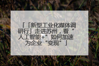 「新型工业化媒体调研行」走进苏州，看“人工智能+”如何加速为企业“变现”