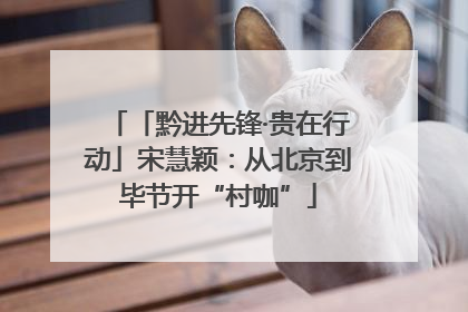 「黔进先锋·贵在行动」宋慧颖：从北京到毕节开“村咖”