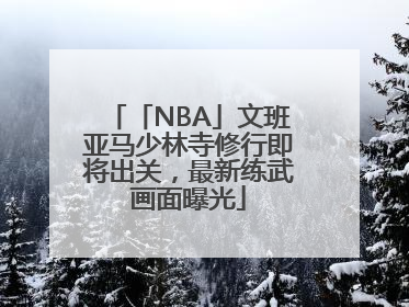 「NBA」文班亚马少林寺修行即将出关，最新练武画面曝光