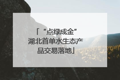 “点绿成金” 湖北首单水生态产品交易落地