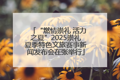 “燃情崇礼 活力之夏”2025崇礼夏季特色文旅赛事新闻发布会在张举行