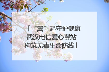 “翼”起守护健康 武汉电信爱心翼站构筑无毒生命防线