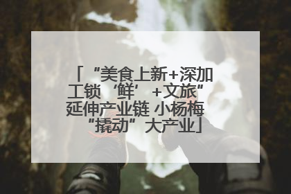 “美食上新+深加工锁‘鲜’+文旅”延伸产业链 小杨梅“撬动”大产业