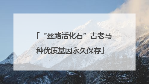 “丝路活化石”古老马种优质基因永久保存