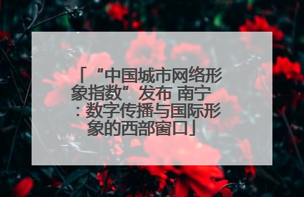 “中国城市网络形象指数”发布 南宁：数字传播与国际形象的西部窗口