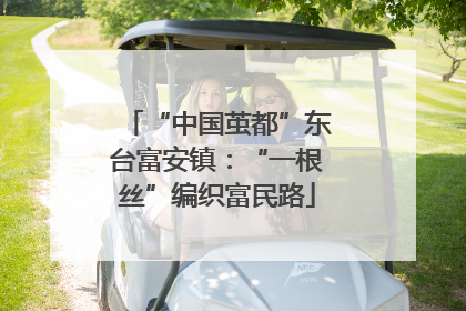“中国茧都”东台富安镇：“一根丝”编织富民路