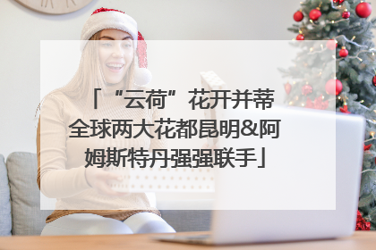 “云荷”花开并蒂 全球两大花都昆明&阿姆斯特丹强强联手