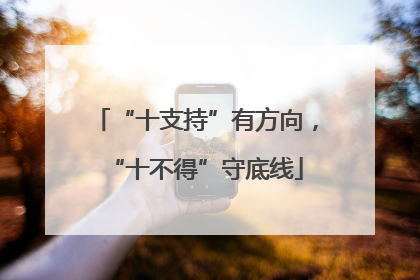 “十支持”有方向，“十不得”守底线