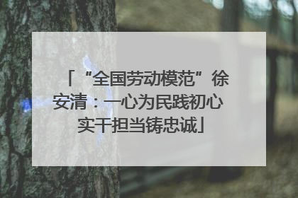 “全国劳动模范”徐安清：一心为民践初心 实干担当铸忠诚