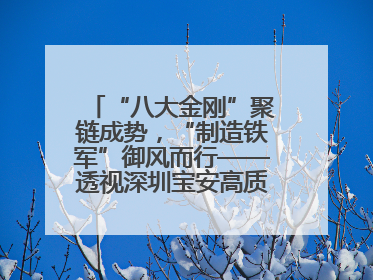 “八大金刚”聚链成势，“制造铁军”御风而行——透视深圳宝安高质量发展新活力