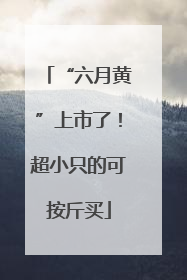 “六月黄”上市了！超小只的可按斤买