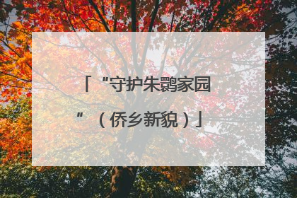 “守护朱鹮家园”（侨乡新貌）