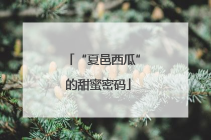 “夏邑西瓜”的甜蜜密码