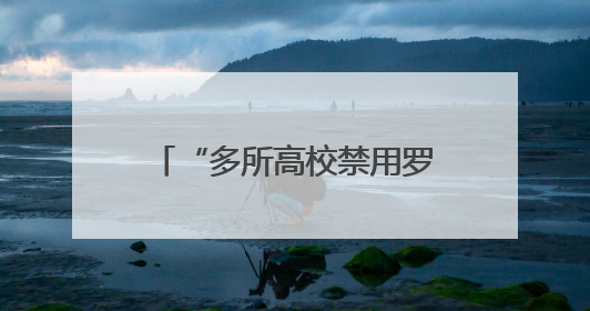 “多所高校禁用罗马仕两万毫安充电宝”，罗马仕发声明道歉：已展开核查