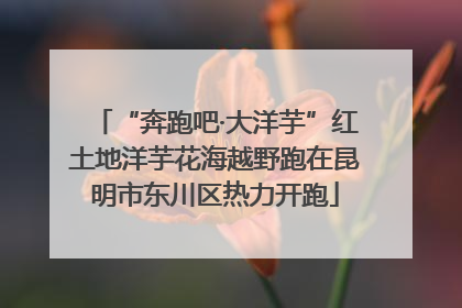 “奔跑吧·大洋芋”红土地洋芋花海越野跑在昆明市东川区热力开跑