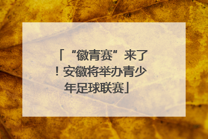“徽青赛”来了！安徽将举办青少年足球联赛