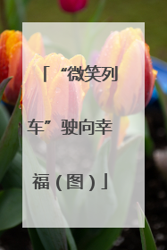 “微笑列车”驶向幸福（图）