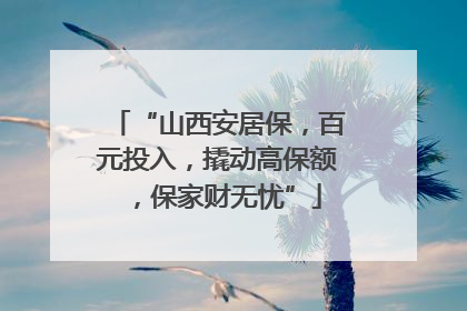 “山西安居保，百元投入，撬动高保额，保家财无忧”