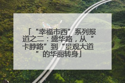 “幸福市西”系列报道之二：盛华路，从“卡脖路”到“景观大道”的华丽转身