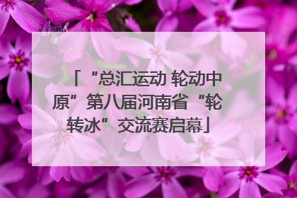 “总汇运动 轮动中原”第八届河南省“轮转冰”交流赛启幕