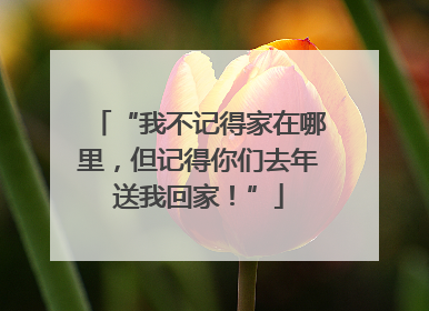 “我不记得家在哪里，但记得你们去年送我回家！”