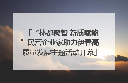 “林都聚智 新质赋能”民营企业家助力伊春高质量发展主题活动开幕