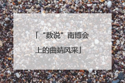 “数说”南博会上的曲靖风采