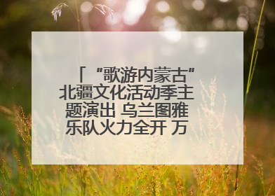 “歌游内蒙古”北疆文化活动季主题演出 乌兰图雅乐队火力全开 万人合唱嗨翻全场