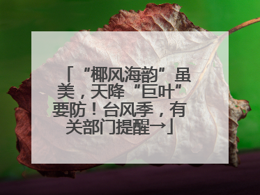 “椰风海韵”虽美，天降“巨叶”要防！台风季，有关部门提醒→