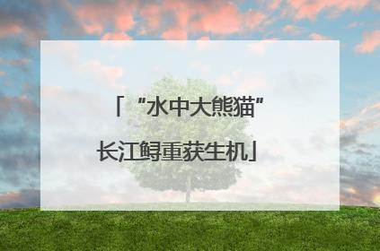 “水中大熊猫”长江鲟重获生机