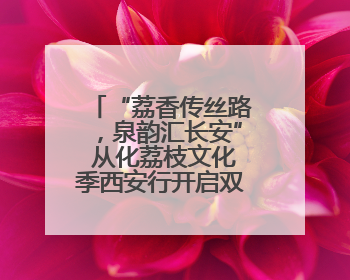 “荔香传丝路，泉韵汇长安” 从化荔枝文化季西安行开启双城甜蜜新篇