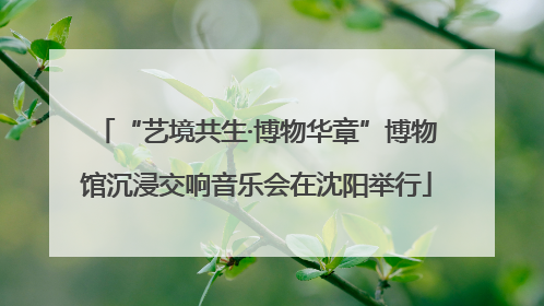 “艺境共生·博物华章”博物馆沉浸交响音乐会在沈阳举行