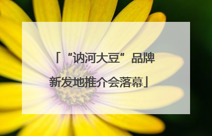 “讷河大豆”品牌新发地推介会落幕