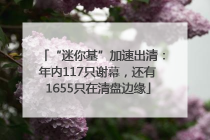 “迷你基”加速出清：年内117只谢幕，还有1655只在清盘边缘