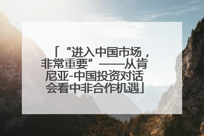 “进入中国市场，非常重要”——从肯尼亚-中国投资对话会看中非合作机遇