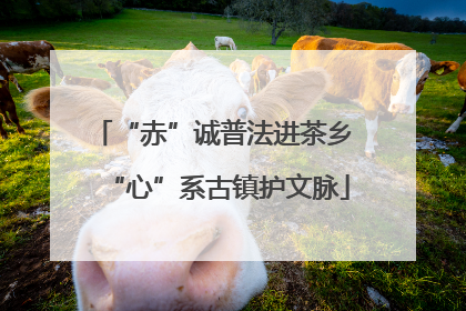 “赤”诚普法进茶乡 “心”系古镇护文脉
