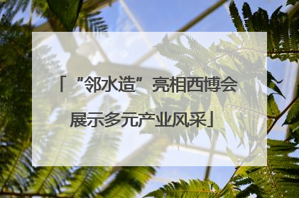 “邻水造”亮相西博会 展示多元产业风采