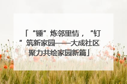 “锤”炼邻里情，“钉”筑新家园——大成社区聚力共绘家园新篇